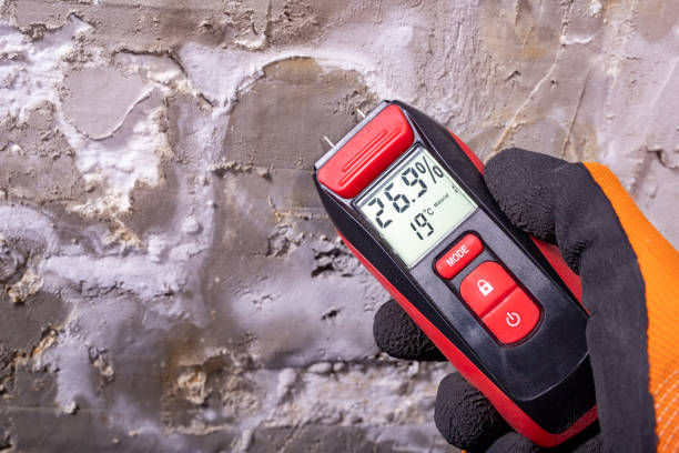 Best Attic Mold Removal  in Eagle Lake, MN